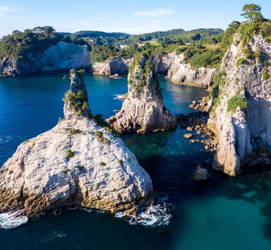 Whitianga: 2-Hour Cathedral Cove and Volcanic Coast Cruise - Why the Purpose-Built Boat Feels Right for Mercury Bay