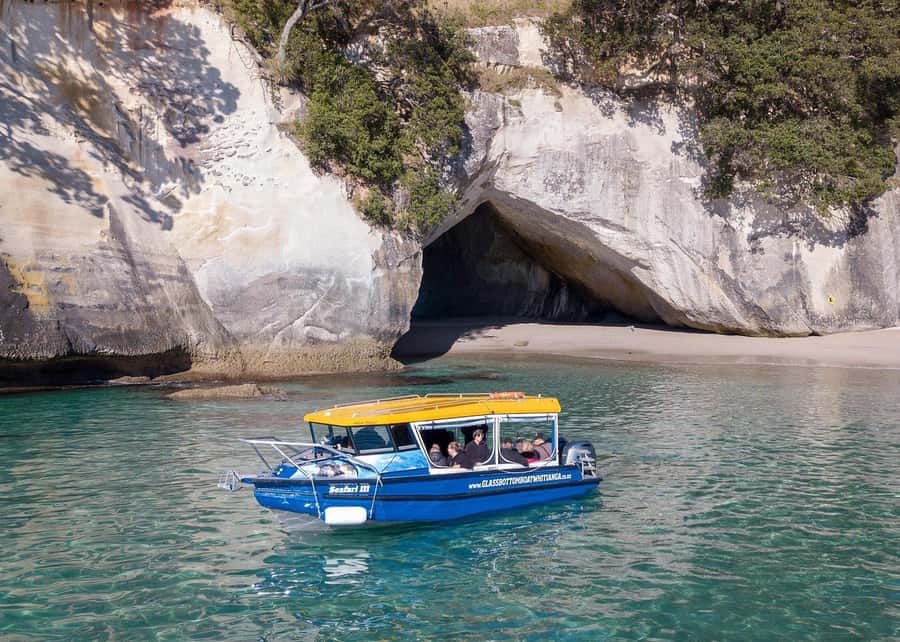 Whitianga: 2-Hour Glass Bottom Boat Cathedral Cove Tour - Key highlights to look for on your cruise