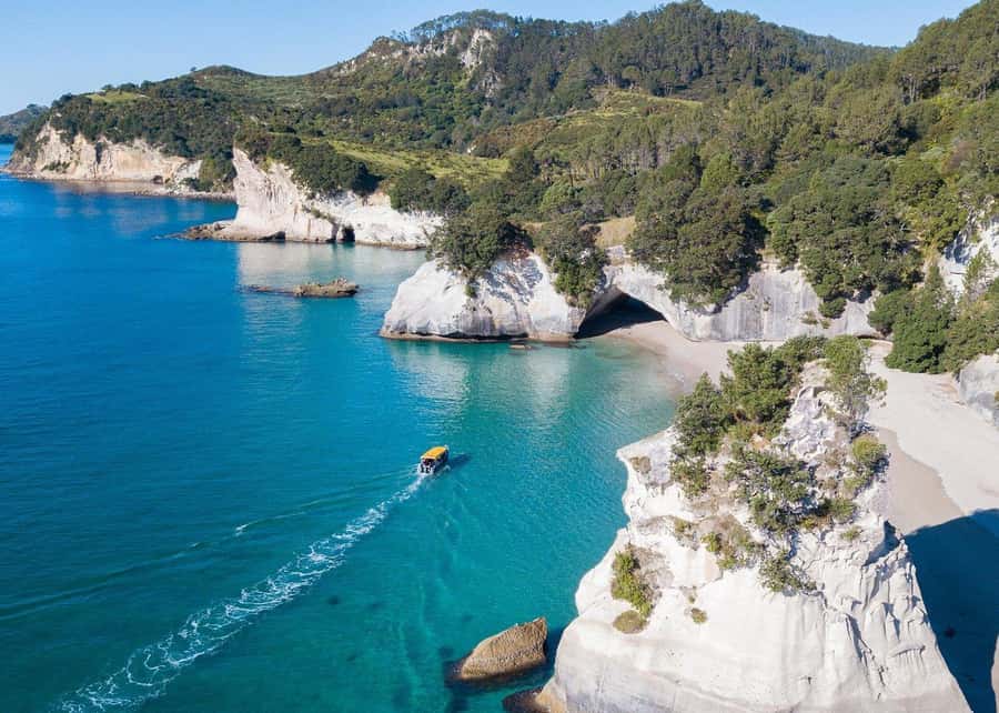 Whitianga: 2-Hour Glass Bottom Boat Cathedral Cove Tour - Where the tour starts: Whitianga Wharf, the blue glass boat, and what to bring