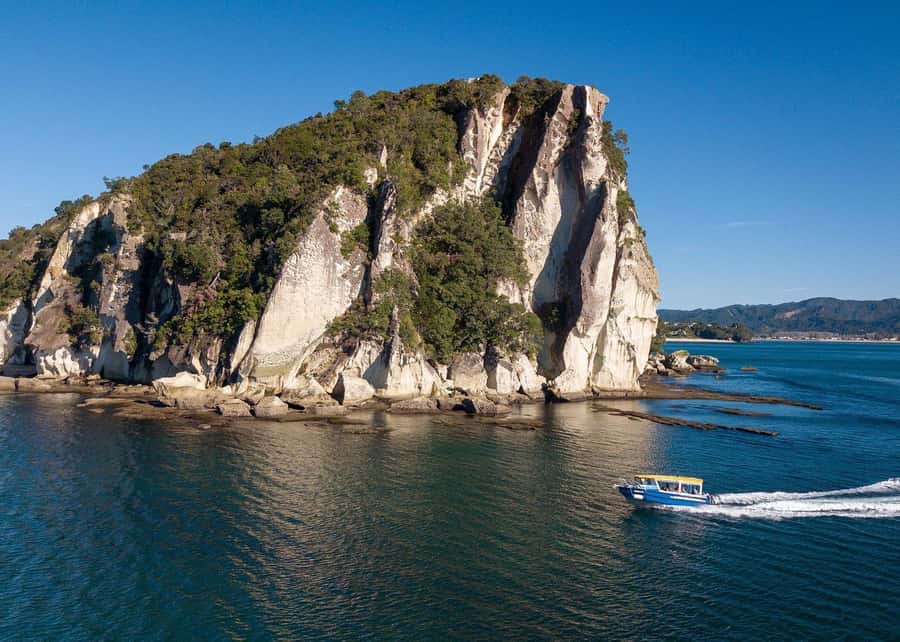 Whitianga: 2-Hour Glass Bottom Boat Cathedral Cove Tour - Entering the marine reserve for Cathedral Cove, caves, and the kelp forest view