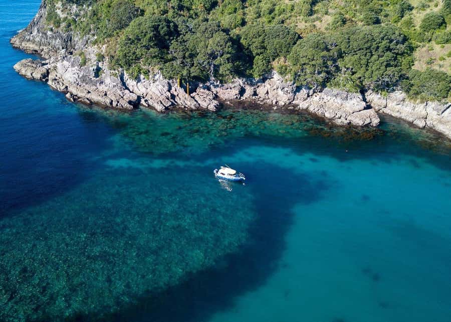 Whitianga: 2-Hour Glass Bottom Boat Cathedral Cove Tour - Price and value: is $83 for 2 hours worth it?