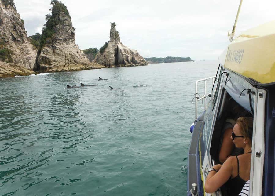 Whitianga: 2-Hour Glass Bottom Boat Cathedral Cove Tour - Who this tour fits best, and who should choose differently
