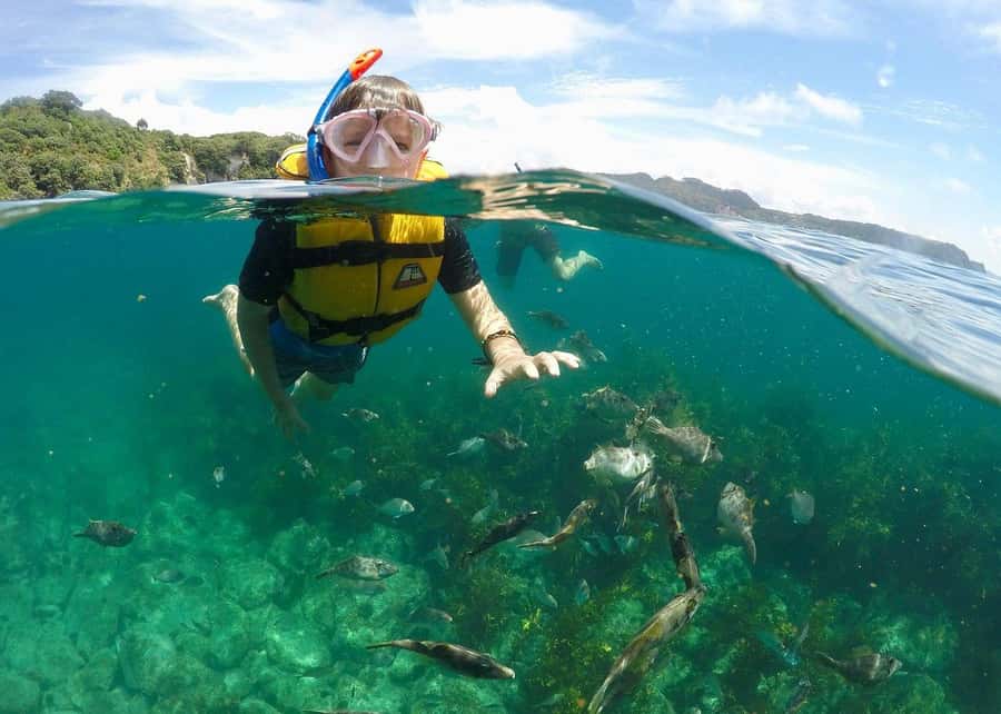Whitianga: 2-Hour Glass Bottom Boat Cathedral Cove Tour - Should you book the Whitianga Cathedral Cove glass-bottom boat tour?
