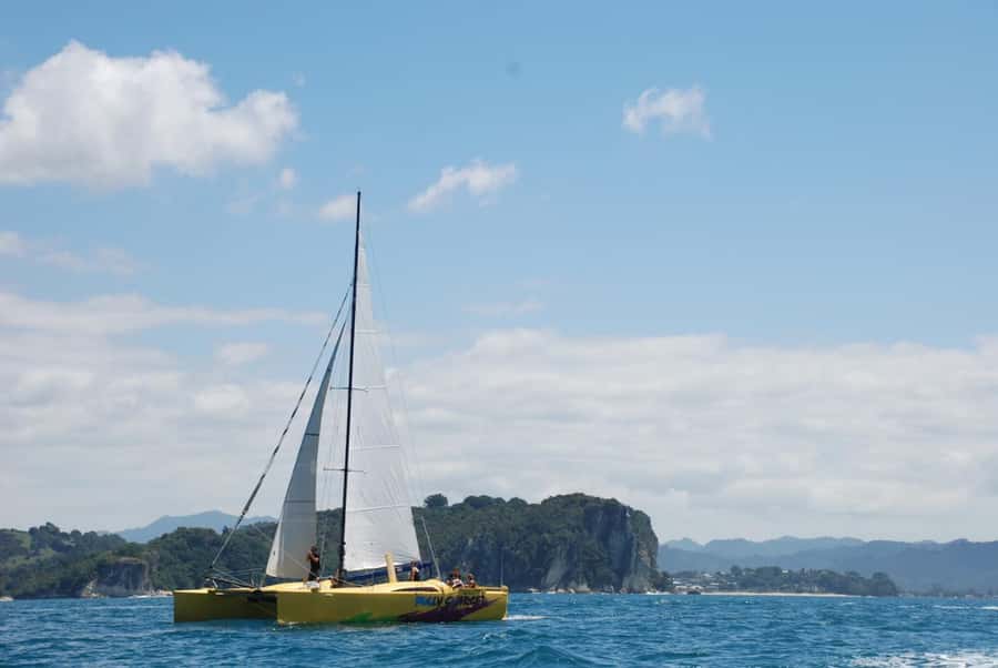 Whitianga: Sailing Trip to Cathedral Cove - The Cathedral Cove sight moment: calm sailing, close viewpoints