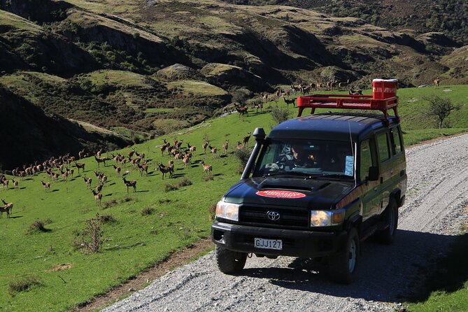 Wild Hills Off Road Safari - Should you book this safari from Wānaka?