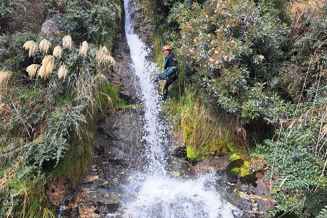 Wildwire Wanaka- Climb & Canyon (4-5 Hours) - The Level 1 Cable Climb: Your Skill Warmup