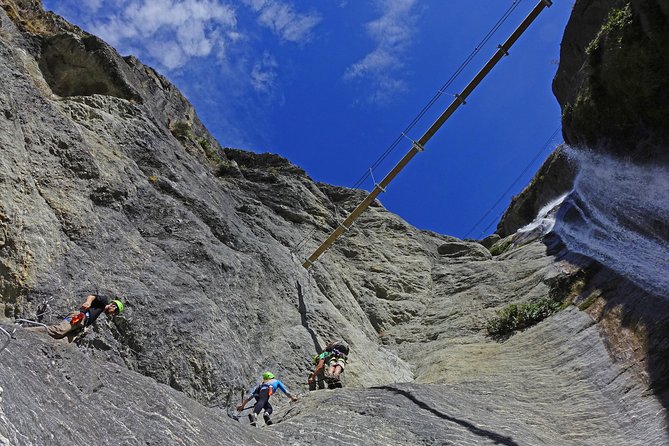 Wildwire Wanaka- Level 2 (4 Hours) - Fitness and Comfort Checks Before You Say Yes