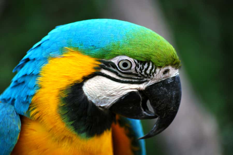 Willowbank Wildlife Reserve Day Entry Ticket - Cafe, seasonal comfort, and what weather changes