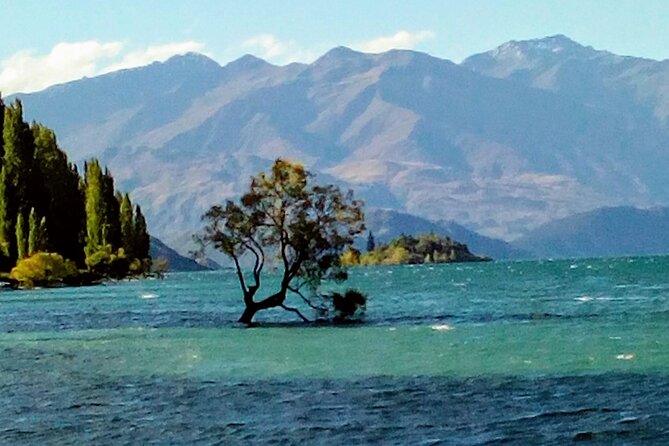 Wine Tasting Adventure Wanaka and Beyond - Meet your host: local wine talk with Michelle
