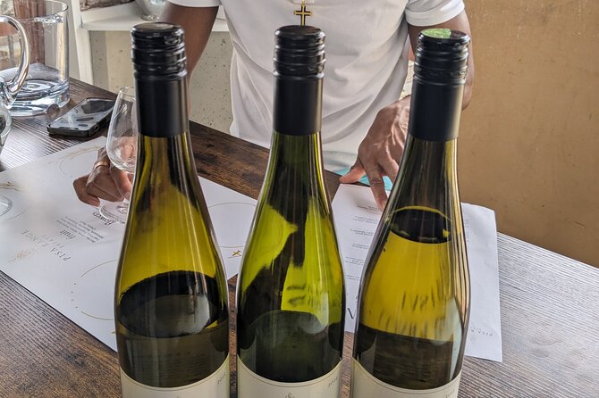 Wine Tasting Adventure Wanaka and Beyond - Wine tastings with real context, not just pours