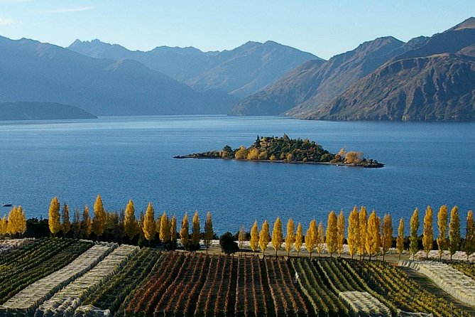 Wine Tour with Wine Tasting from Wanaka - Getting Picked Up in Wanaka and Staying on Schedule
