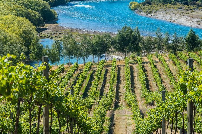 Wine Tour with Wine Tasting from Wanaka - Price and Value: What $184.31 Actually Buys