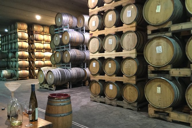 Wine trail and Christchurch City - Luxury, Small Group Tour - She Chocolate stop for sweet energy before heading back
