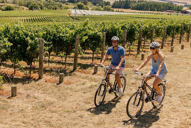 Wine trail and Christchurch City - Luxury, Small Group Tour - Small-group comfort: pickup, live commentary, and a guide who can flex