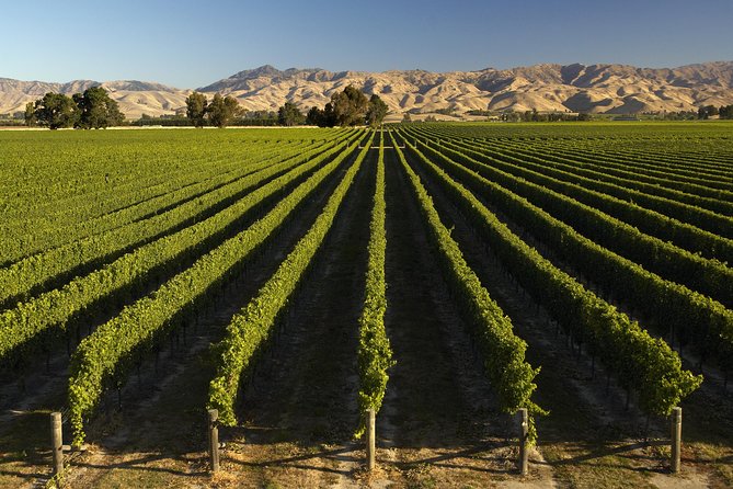 Wine trail and Christchurch City - Luxury, Small Group Tour - Price and value at $387.86: when luxury transport matters