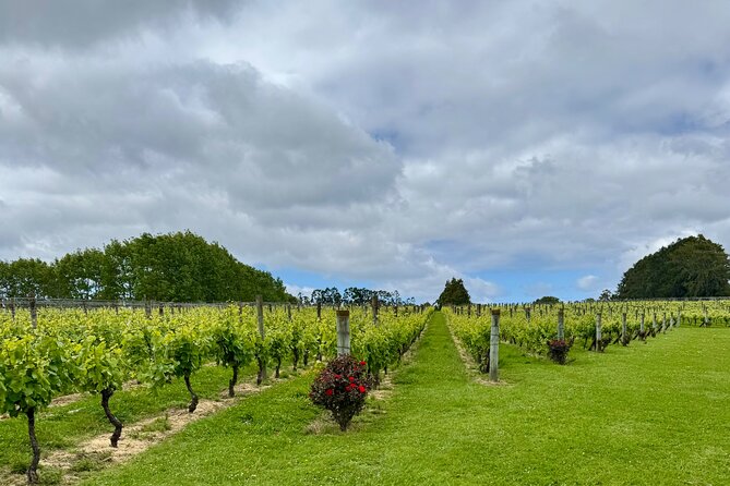 Wineries / Brewery - What to buy and how to avoid overspending