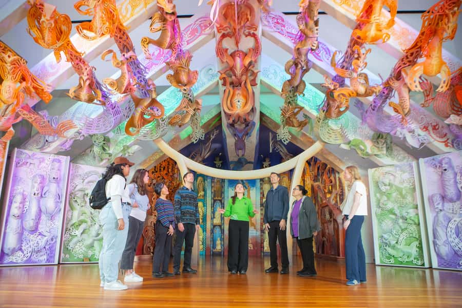 WLG: Museum of NZ Māori Highlights Tour & General Admission - Key things you will notice on this tour