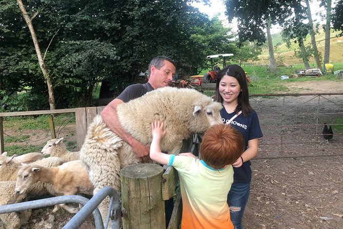 Wool Sheep Farm Experience with Handmade Wool Hat in New Zealand - Wool Sheep Farm With Handmade Wool Hat: Key Highlights
