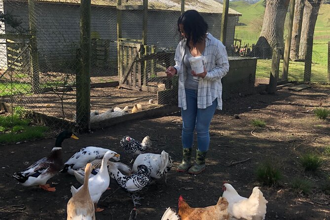 Wool Sheep Farm Experience with Handmade Wool Hat in New Zealand - More Than a Stop: Why Wool Here Feels Personal