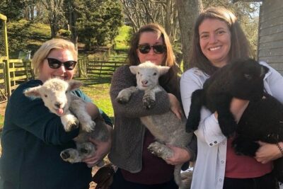 Wool Sheep Farm Experience with Handmade Wool Hat in New Zealand