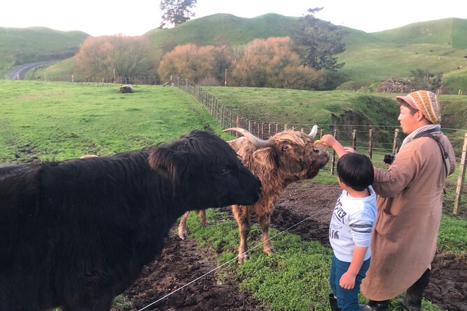 Wool Sheep Farm Experience with Handmade Wool Hat in New Zealand - Price and Group Size: Is $31.03 Good Value?