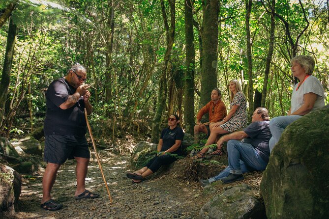 Your Kiwi Cultural Connection with Tu Tika Tours - Price and Value: Is $245.13 Worth It?