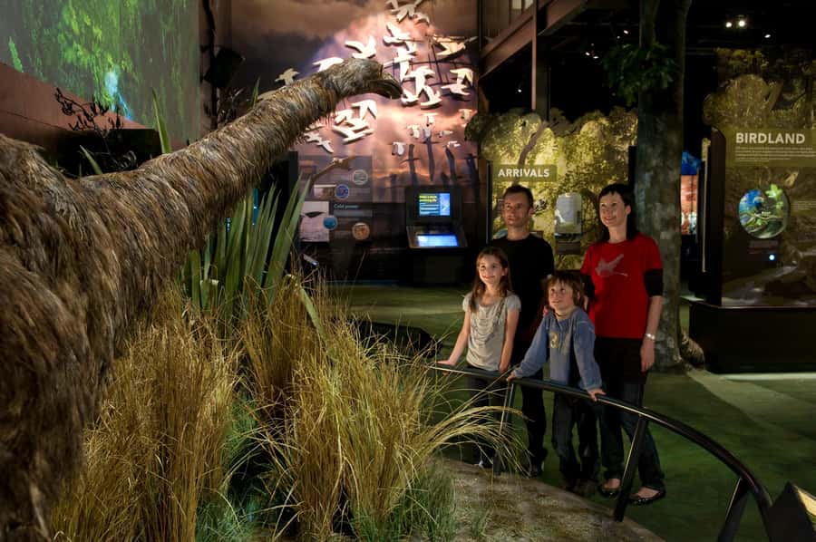 Zealandia by Day Tour - Best-fit travelers, and who should choose another option