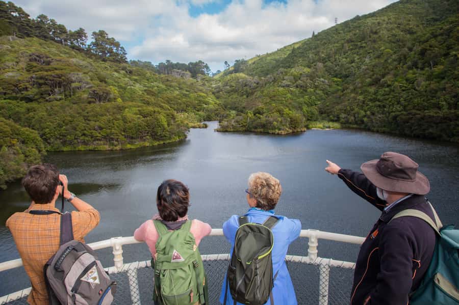 Zealandia by Day Tour - The 2-hour walking tour: how it actually feels on the ground