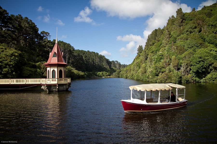 Zealandia by Day Tour - Logistics that affect your day: meeting point, access, and weather